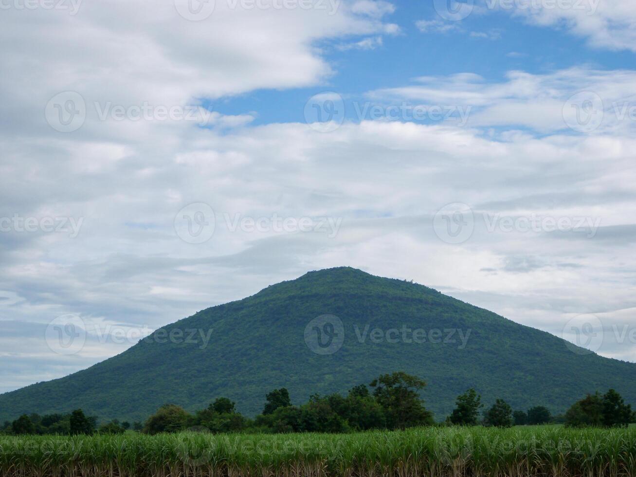 canna da zucchero campo a Alba. aereo Visualizza o superiore Visualizza di canna da zucchero o agricoltura nel Tailandia. foto