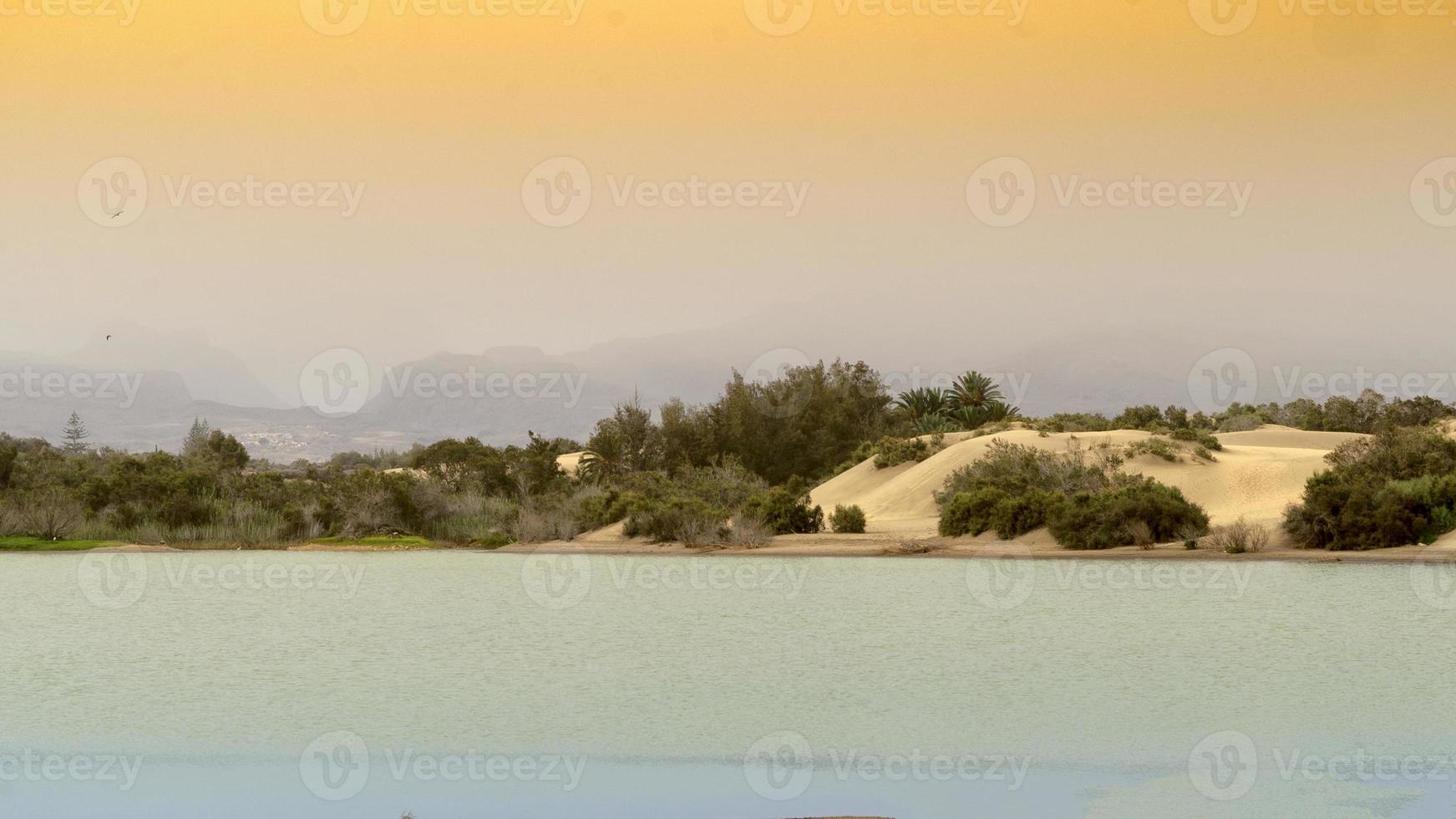 oasi di maspalomas a gran canaria, isole canarie foto