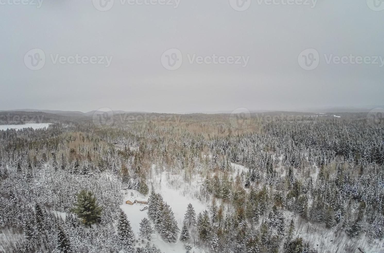 vista aerea della foresta e della piccola capanna canadese in legno durante l'inverno. foto