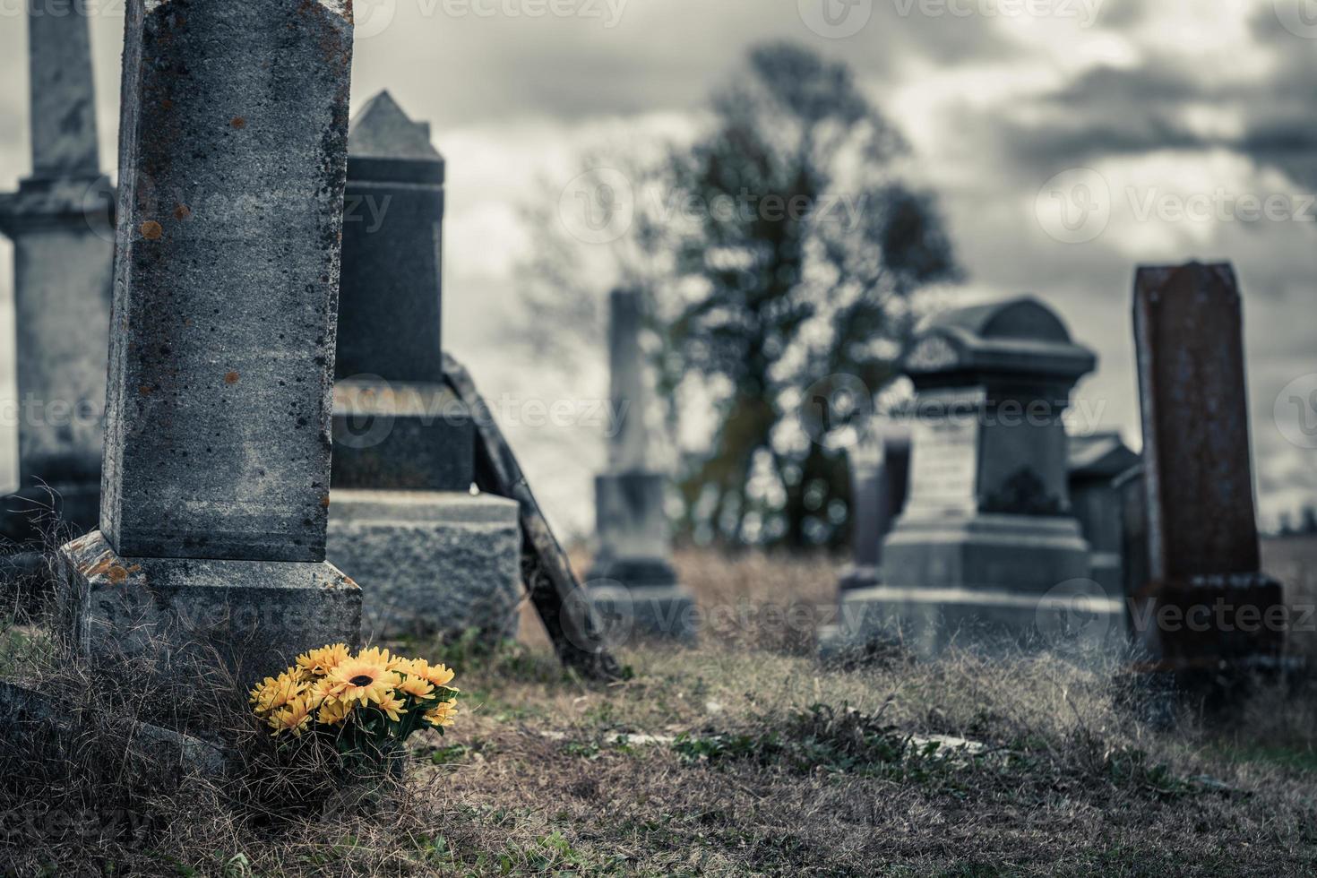 bouquet di girasoli in un triste cimitero foto