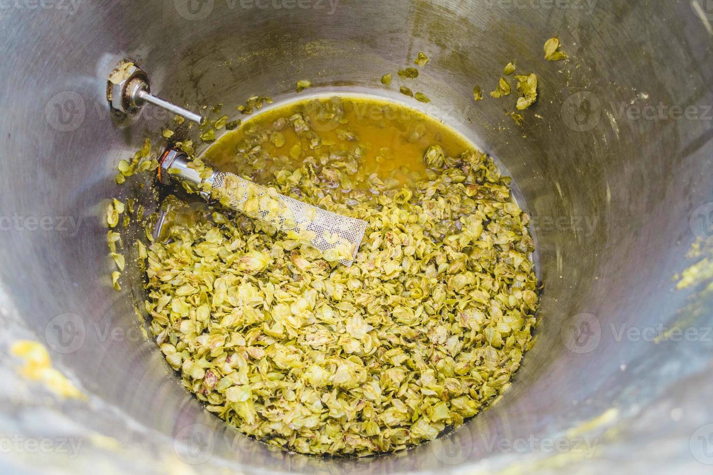 rimanenti coni di luppolo chinook dopo una giornata di ipa homebrew. foto