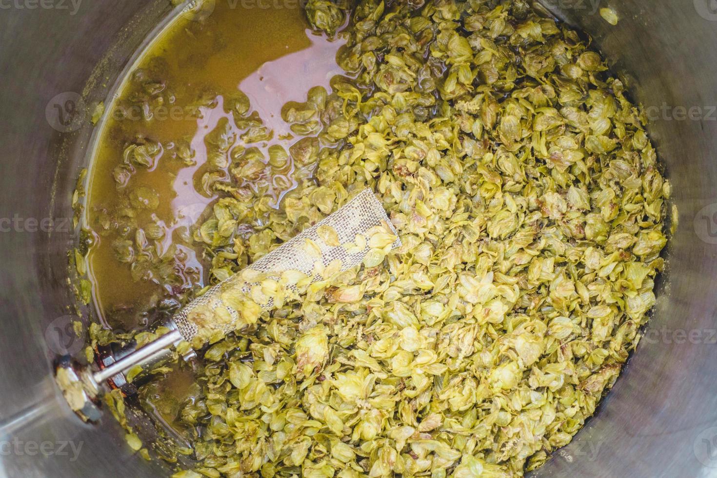 rimanenti coni di luppolo chinook dopo una giornata di ipa homebrew. foto