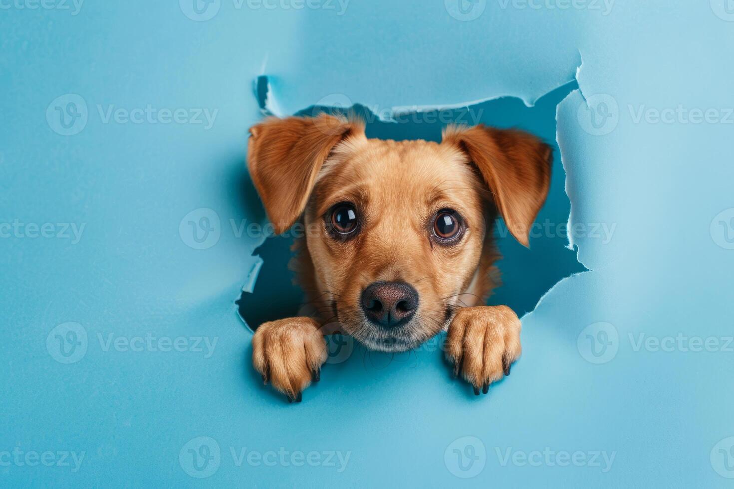 ai generato cane sbirciando su attraverso strappato buco nel blu carta sfondo foto