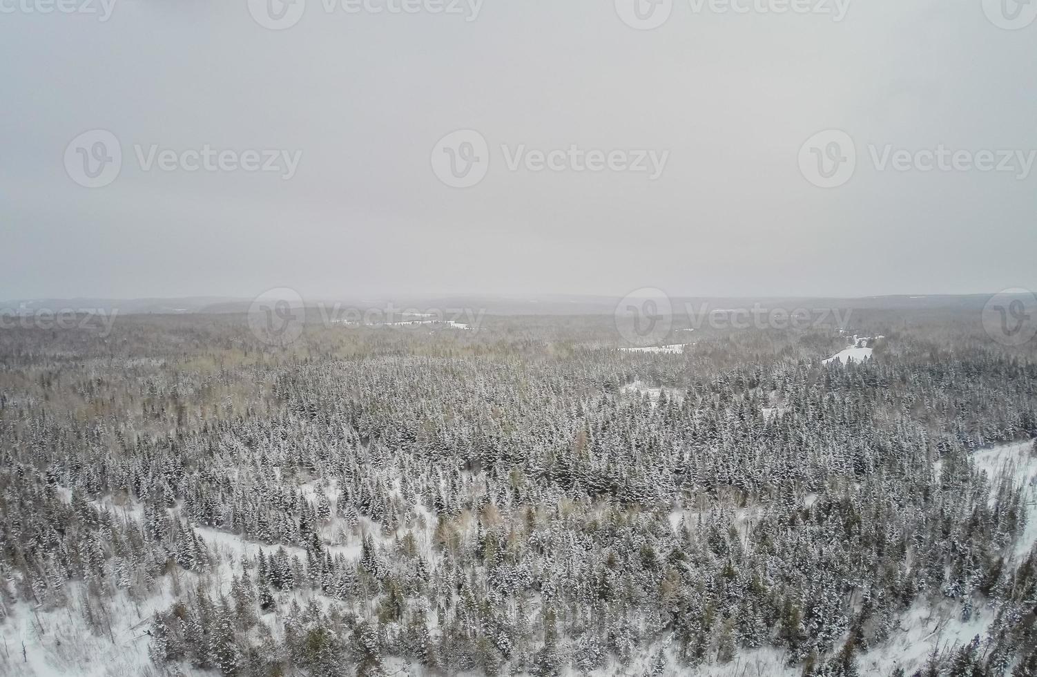 vista aerea della natura selvaggia e della foresta durante l'inverno. foto