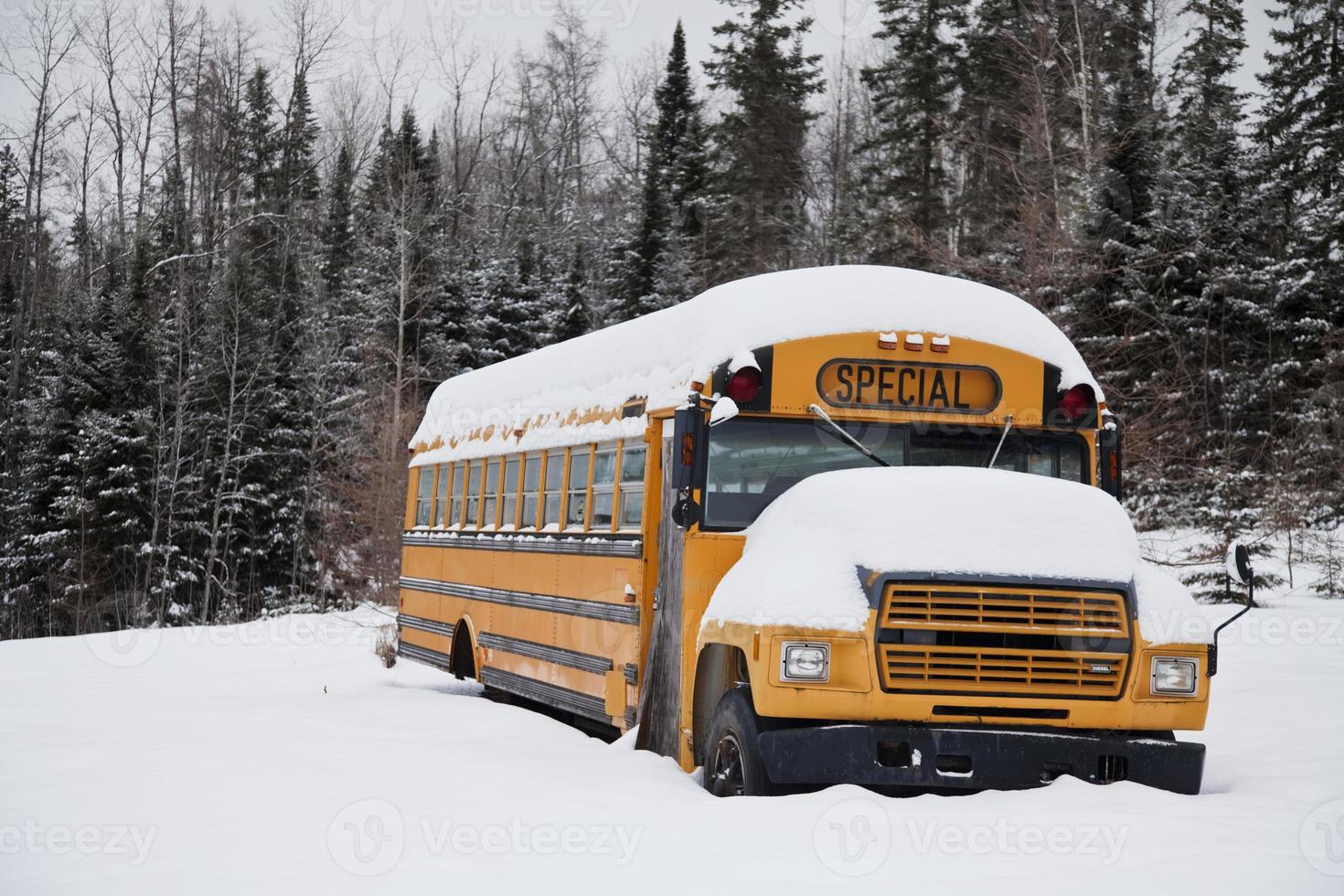 abbandonato scuolabus strano foto