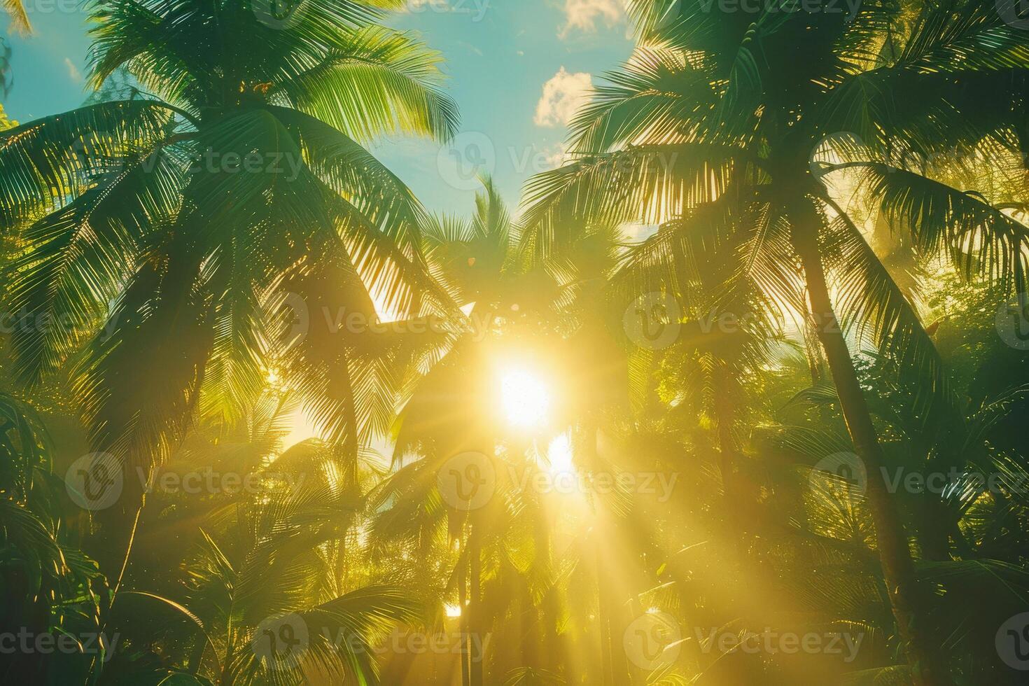 ai generato il sole splendente attraverso il baldacchino di alto, lussureggiante palma alberi foto