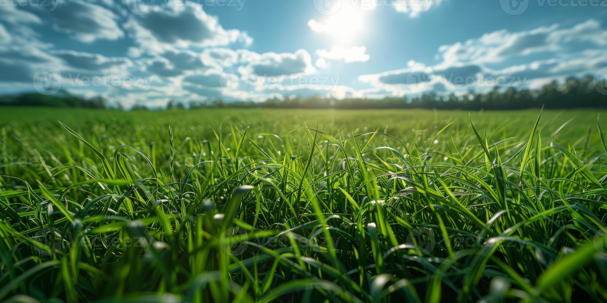 ai generato vivace verde prato sotto soleggiato cieli con lussureggiante erba foto