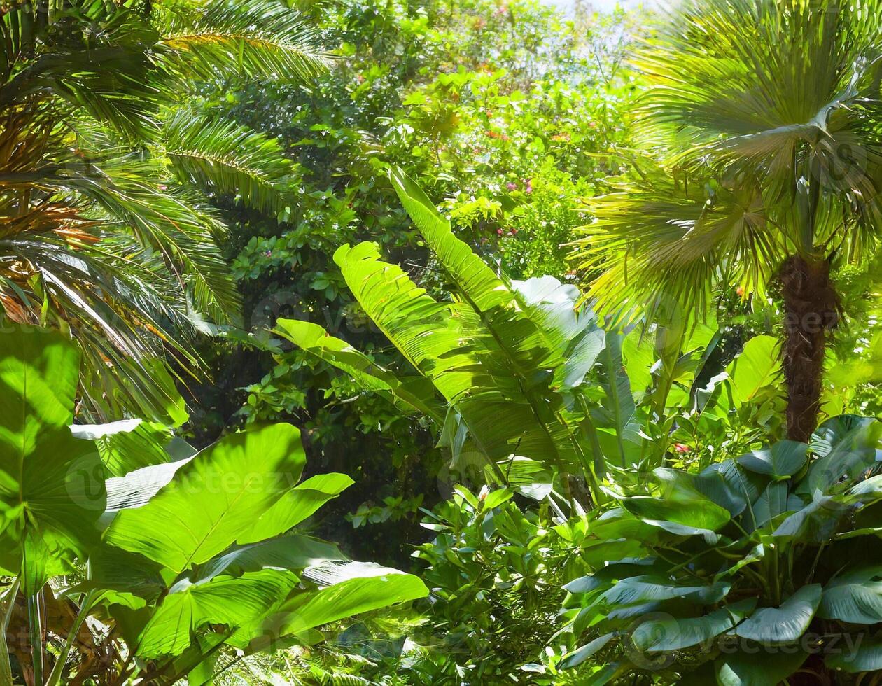 ai generato lussureggiante vegetazione sfondo foto