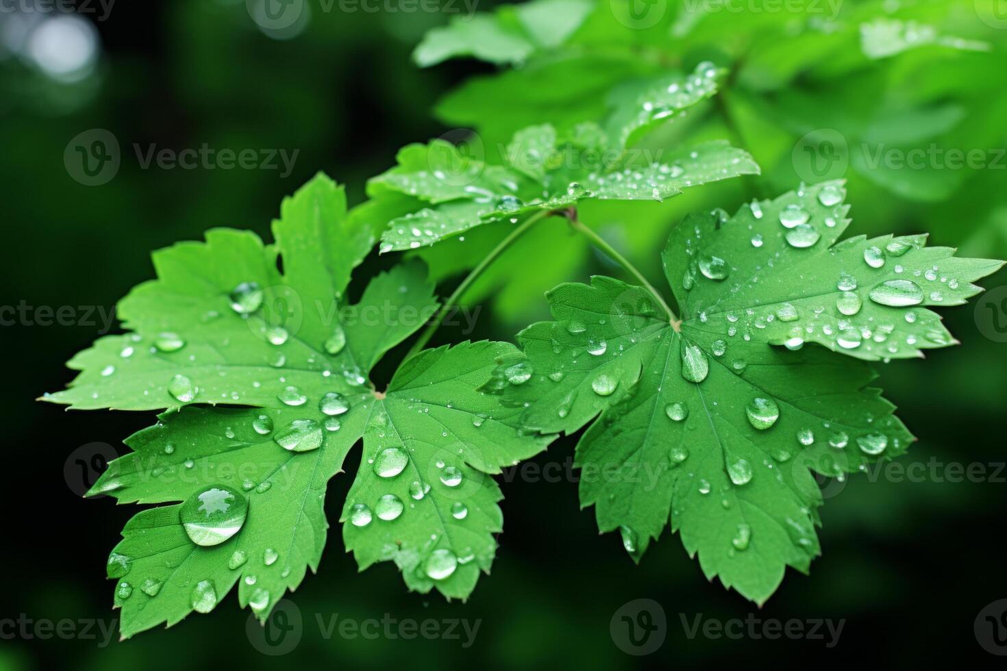 esplorando intricato modelli a partire dal macro per micro nel natura e scienza per globale studia foto