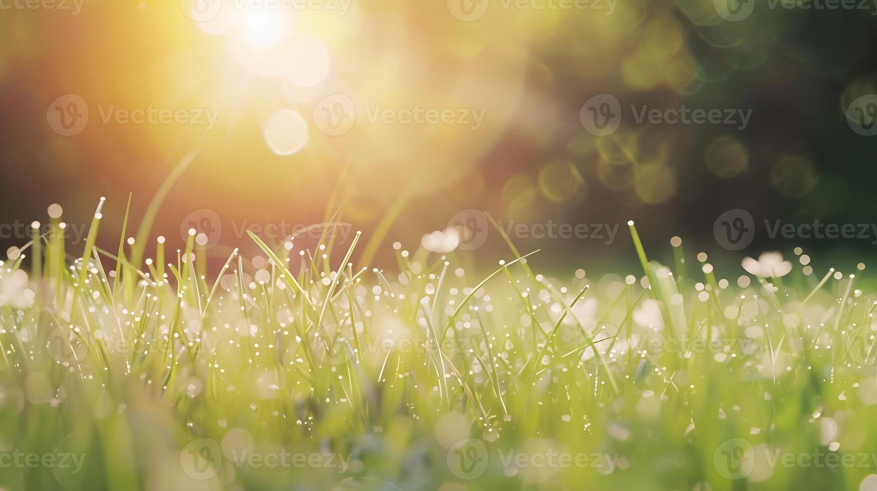 naturale erba campo sfondo con sfocato bokeh e sole raggi, foto