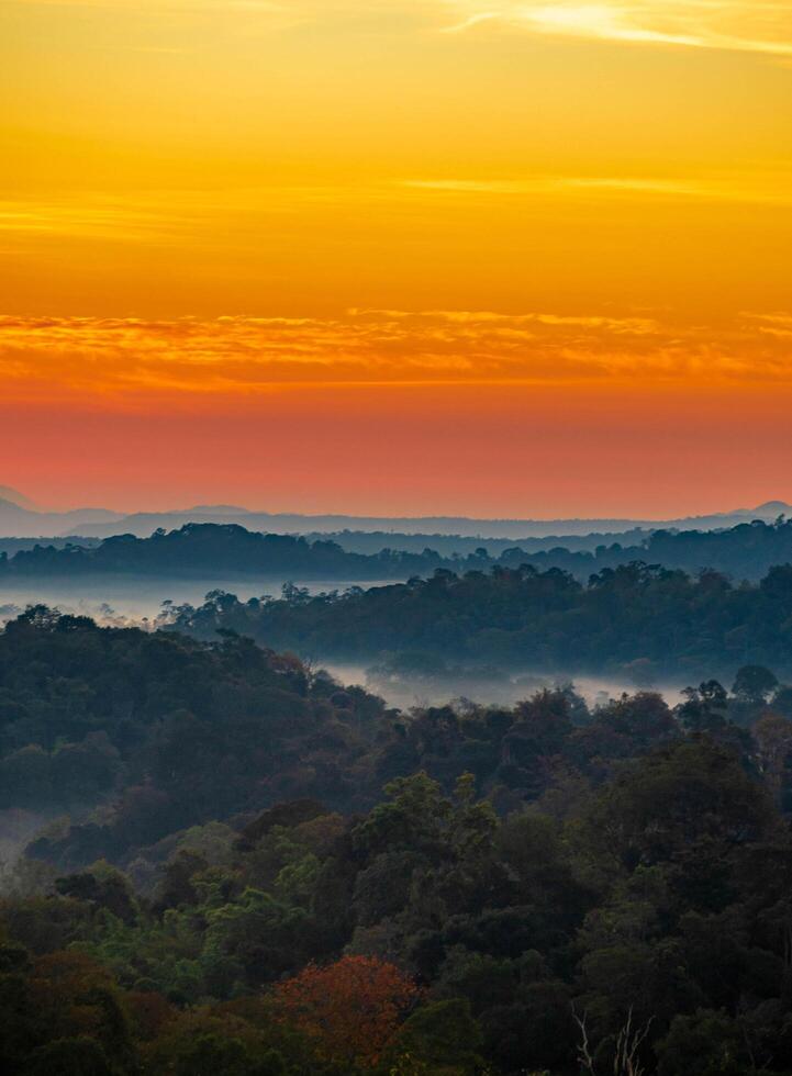 il sbalorditivo Visualizza a partire dal un' turisti punto di vista come essi partire giù un' collina su un' nebbioso pista con un' collina e un' sfondo di un' d'oro cielo nel foresta parco, Tailandia. foresta pluviale. uccelli occhio Visualizza. aereo Visualizza. foto