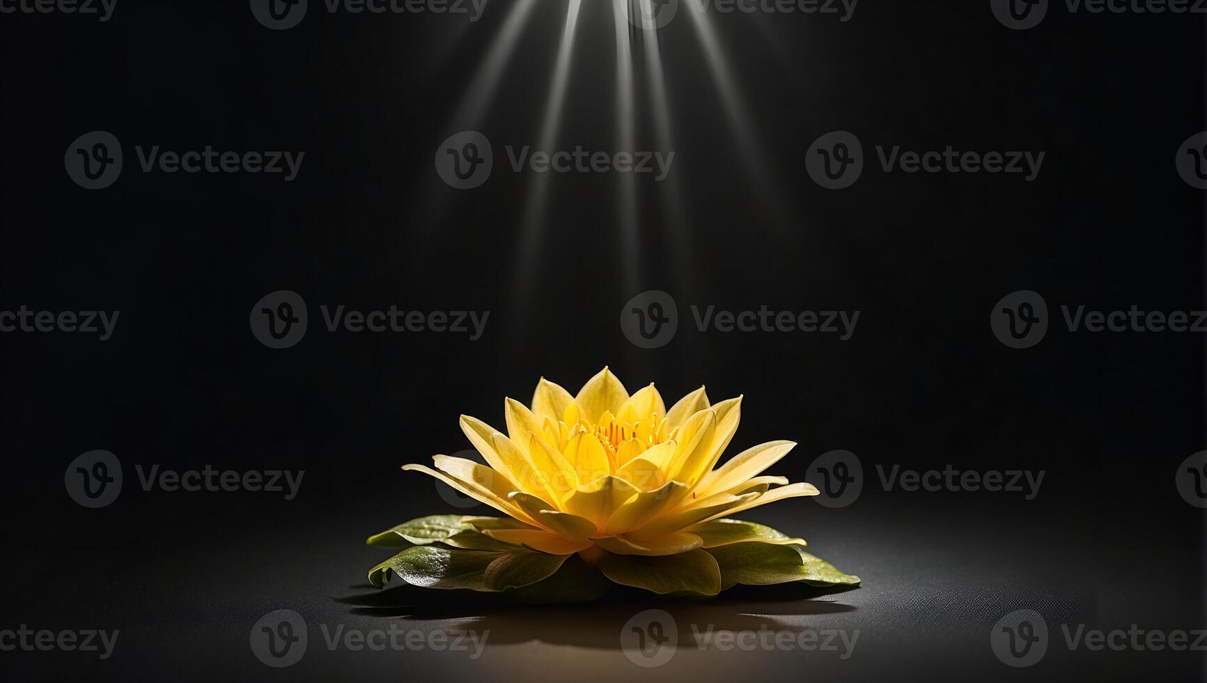 un' raggio di luce del sole brilla su un' giallo loto, un' fiore, speranza, su un' completamente nero sfondo foto