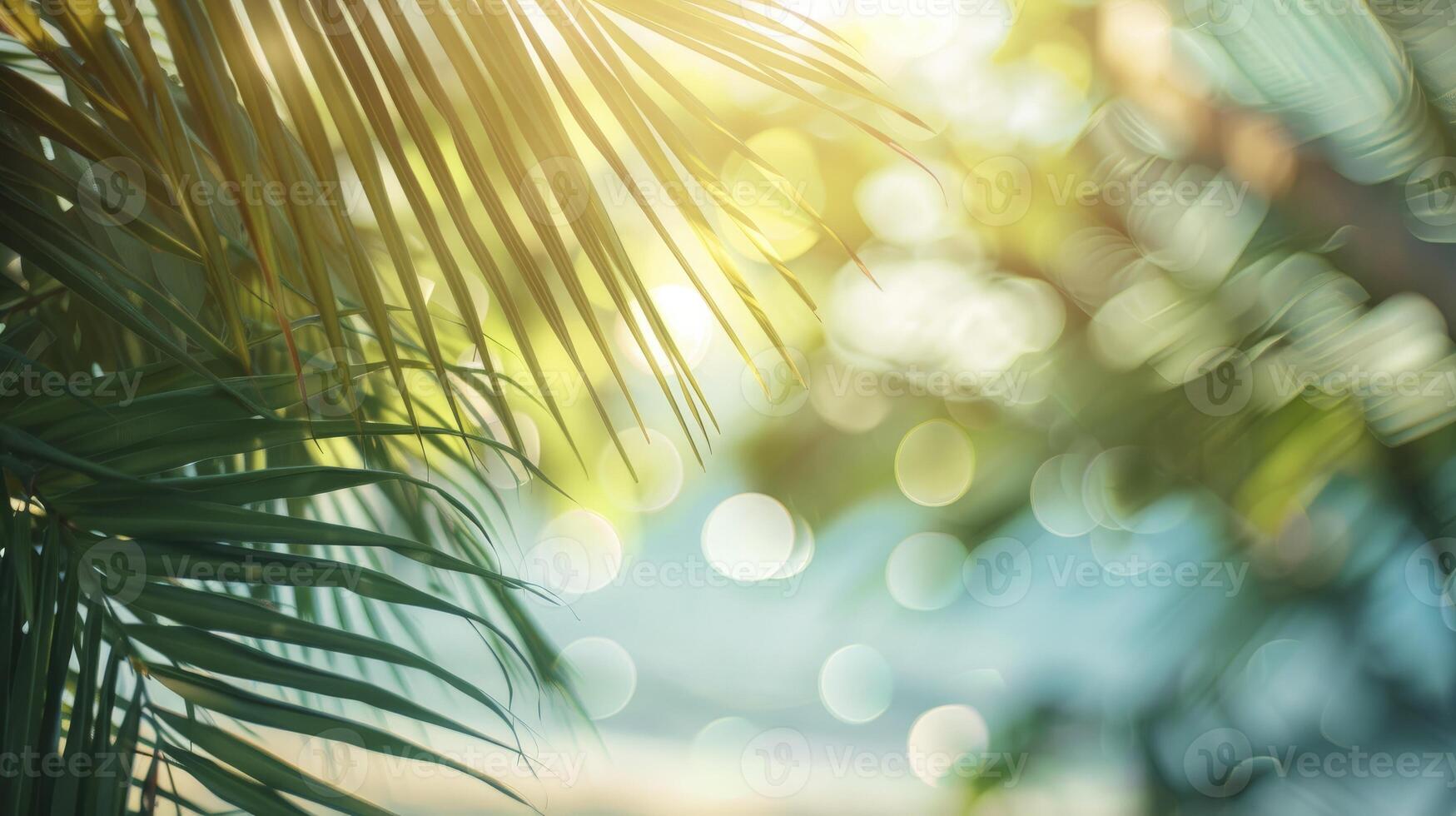 meravigliosamente sfocato verde palma foglia su un' tropicale spiaggia con un astratto sfondo di sole leggero onde. foto