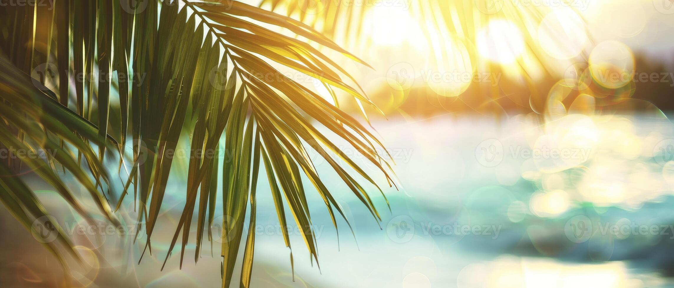 meravigliosamente sfocato verde palma foglia su un' tropicale spiaggia con un astratto sfondo di sole leggero onde. foto