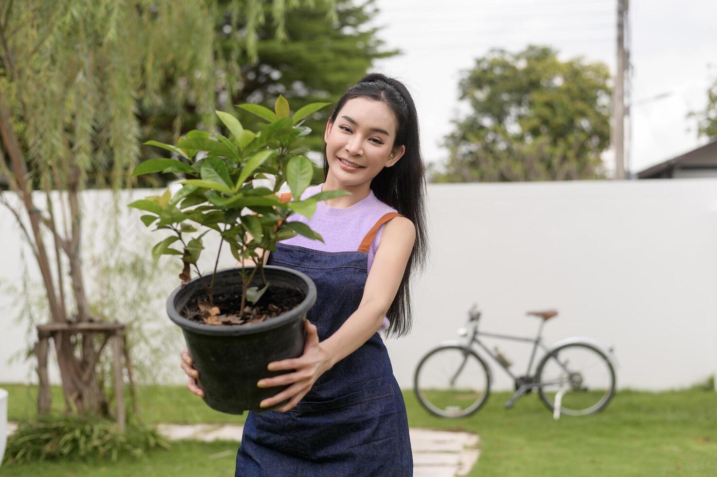 giovane asiatico donna piantare albero nel il giardino all'aperto a casa. foto
