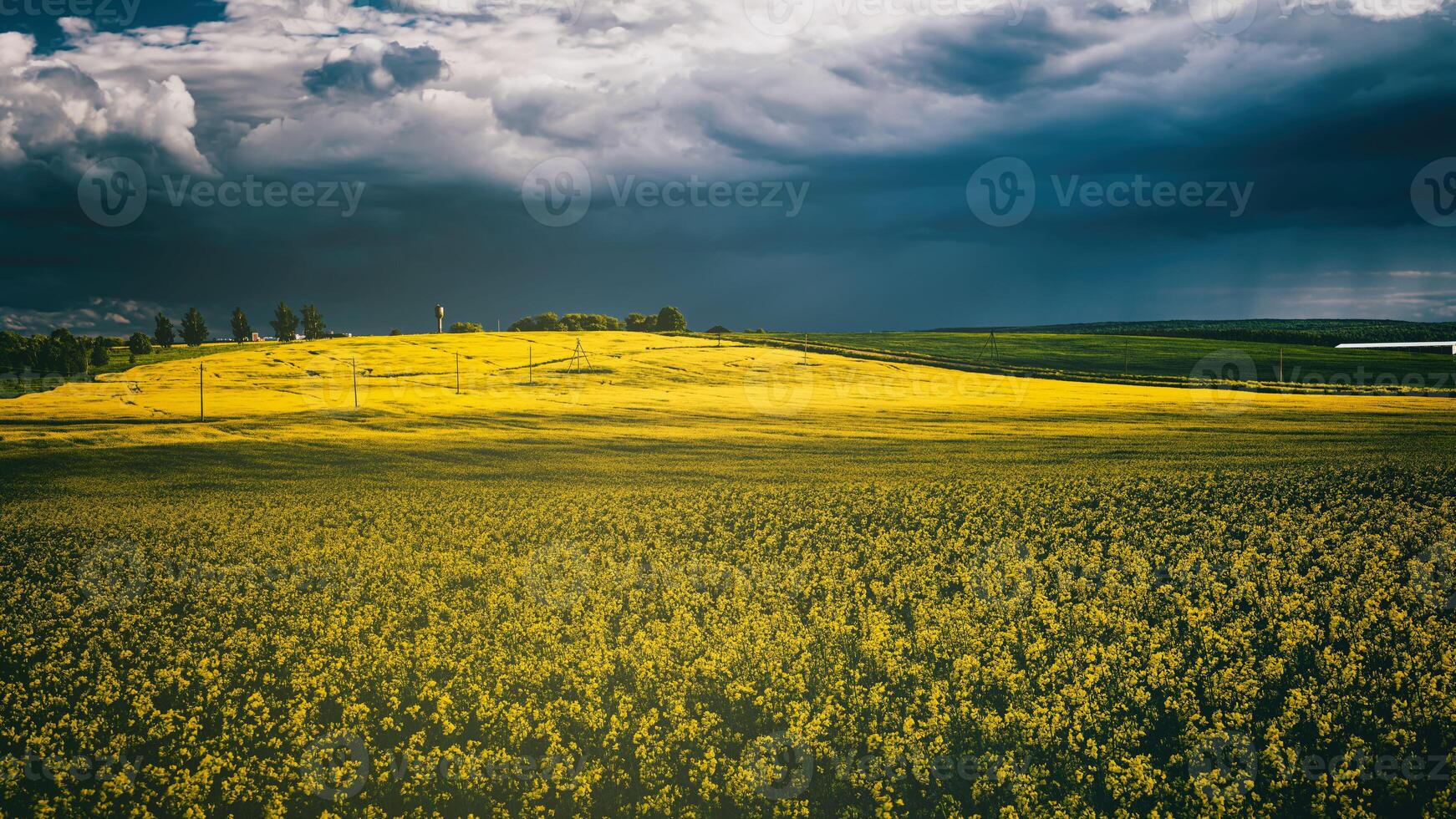 colza campo con bellissimo nuvoloso cielo. rurale paesaggio. estetica di Vintage ▾ film. foto