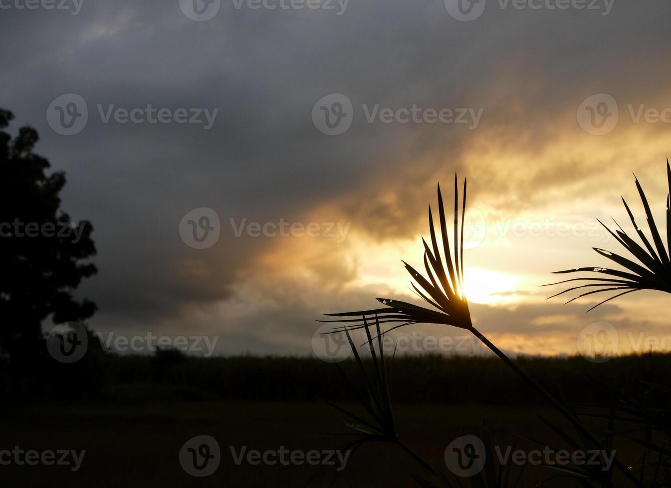 spettacolare tramonto Sopra, arancia sole crescente su al di sopra di il orizzonte foto