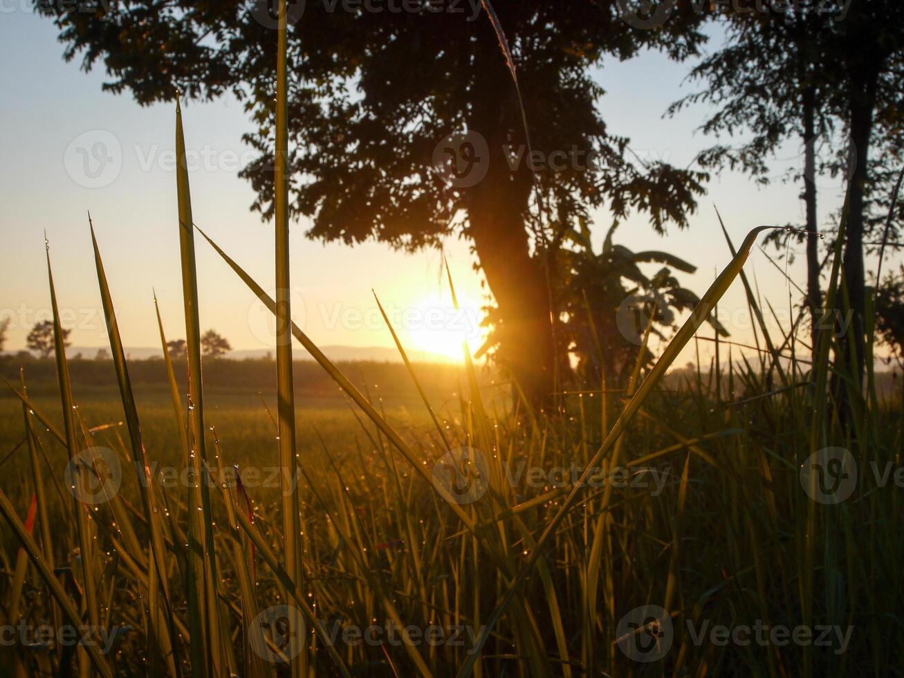 spettacolare tramonto Sopra, arancia sole crescente su al di sopra di il orizzonte foto