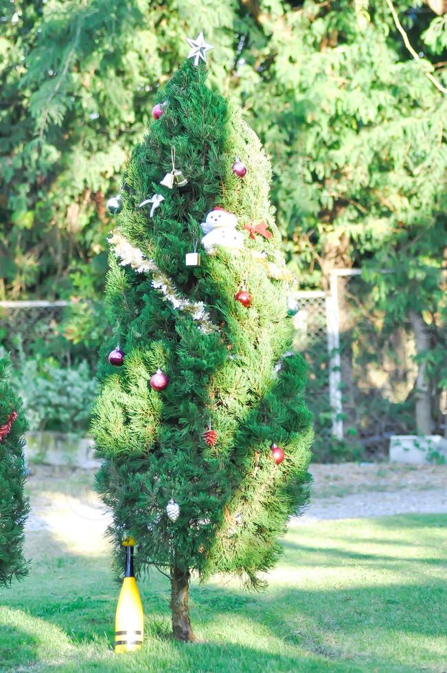 Natale giorno o Natale decorazione , Natale palla su pino albero o palla e stella decorazione su pino albero foto