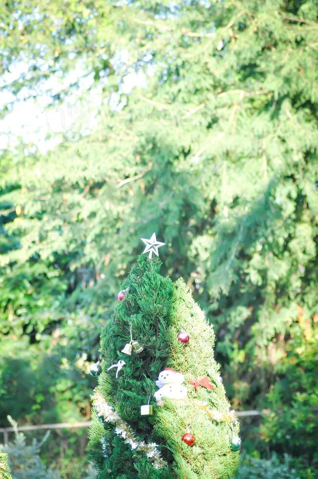 Natale giorno o Natale decorazione , Natale palla su pino albero o palla e stella decorazione foto