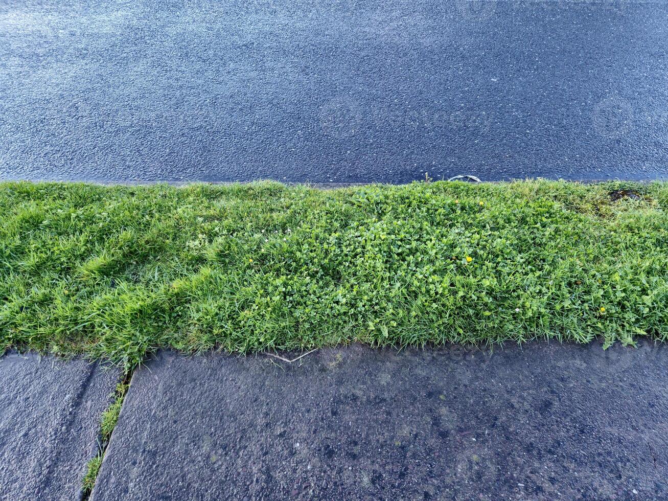 verde primavera erba vicino Visualizza, verde campo sfondo foto