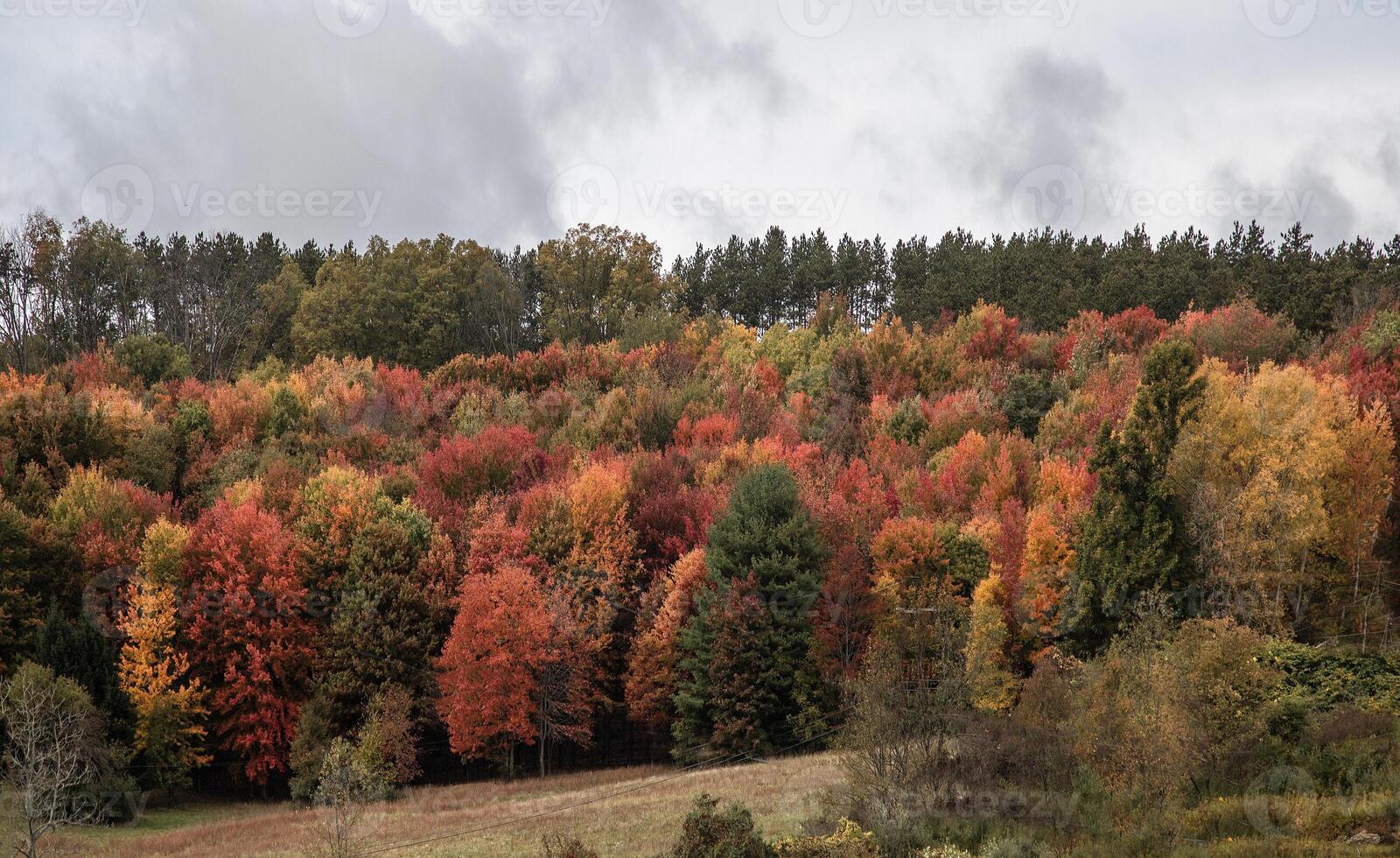 Pennsylvania autunno colori foto