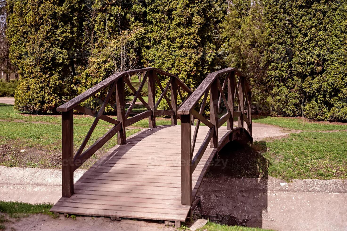 di legno ponte nel il parco foto