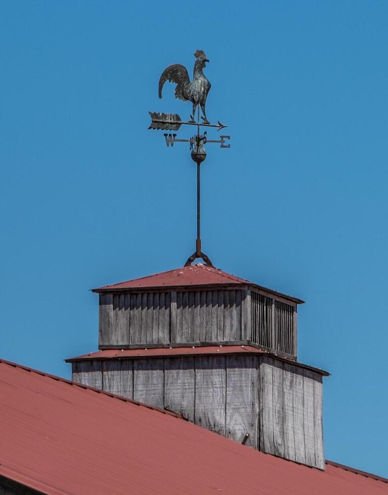 tempo metereologico banderuola su un' cupola foto