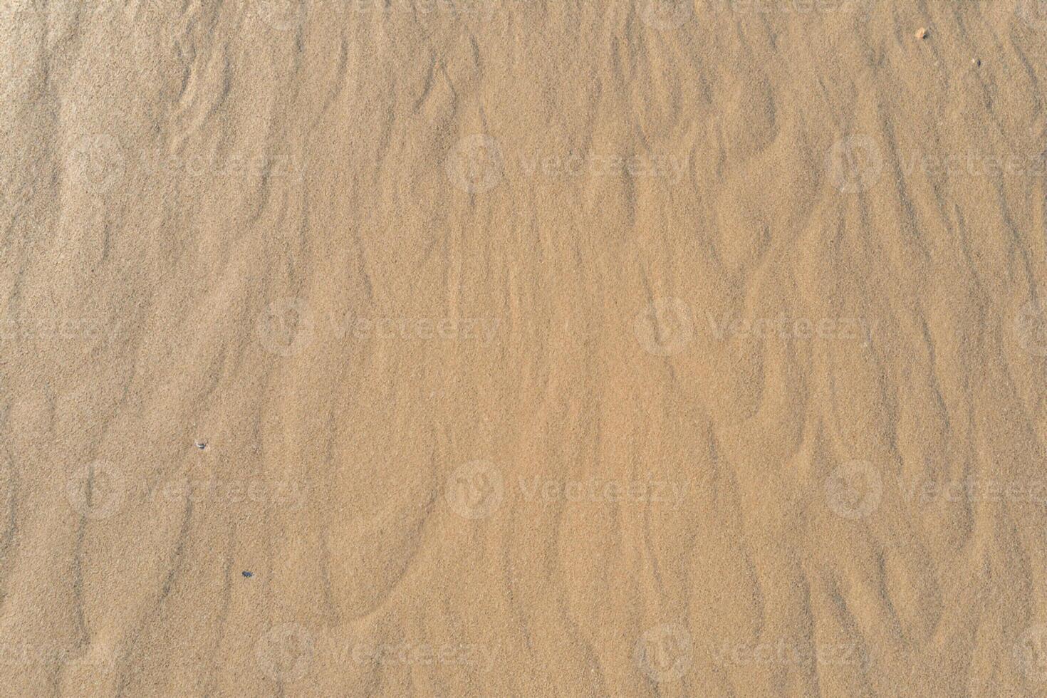 orizzonte porto aereo serenità cattura bellissimo spiaggia sabbia a partire dal sopra, un' tranquillo arazzo di costiero bellezza foto