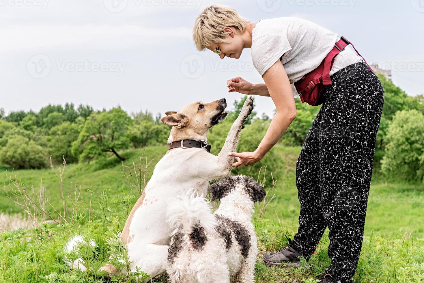 il proprietario addestra il suo cane e fa uno spuntino all'aperto nel parco in una giornata estiva foto