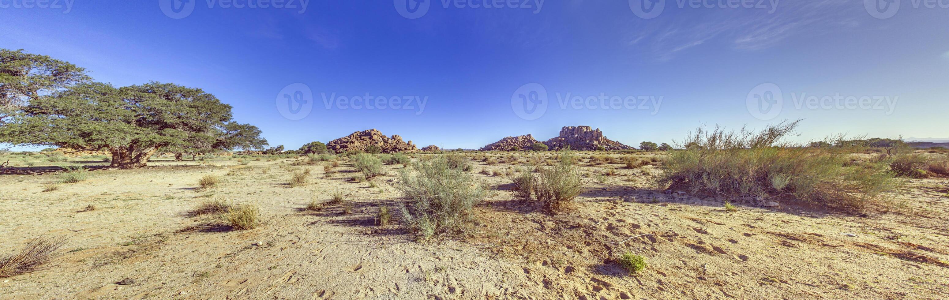 deserto paesaggio a pesce fiume canyon nel namibia con acacia albero e roccioso affioramento sotto chiaro blu cielo foto