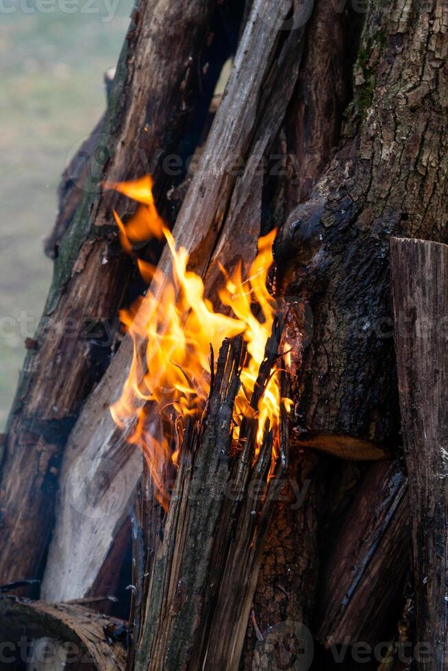 bellissimo fuoco fiamme su un' fuoco di bivacco foto