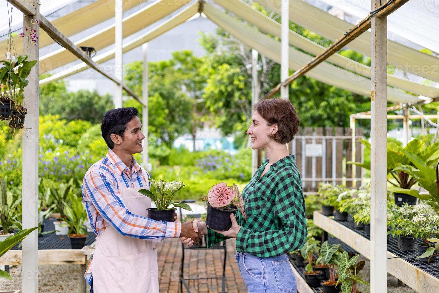 giovane caucasico cliente è chiede il asilo proprietario di il esotico caladium pianta con shopping carrello pieno di estate pianta per fine settimana giardinaggio e all'aperto foto