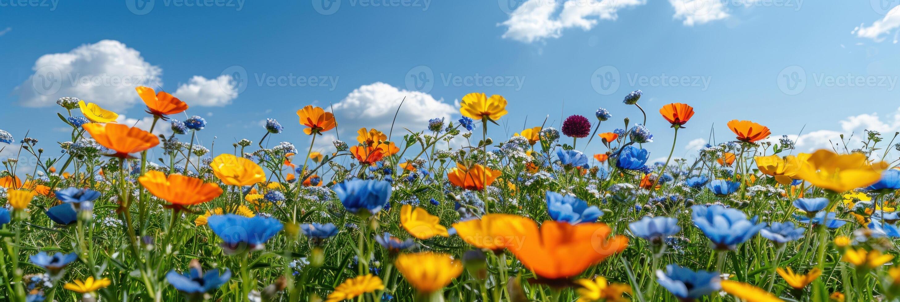 campo pieno con vivace fiori sotto chiaro blu cielo foto