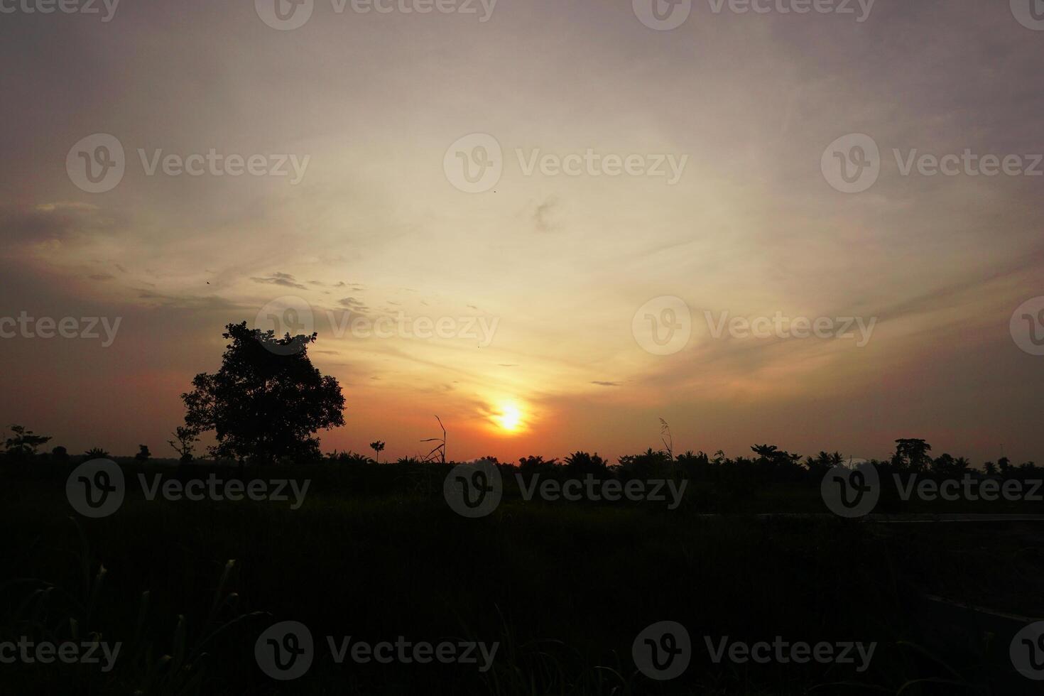 tramonto al di sopra di silenzioso rurale riso i campi foto