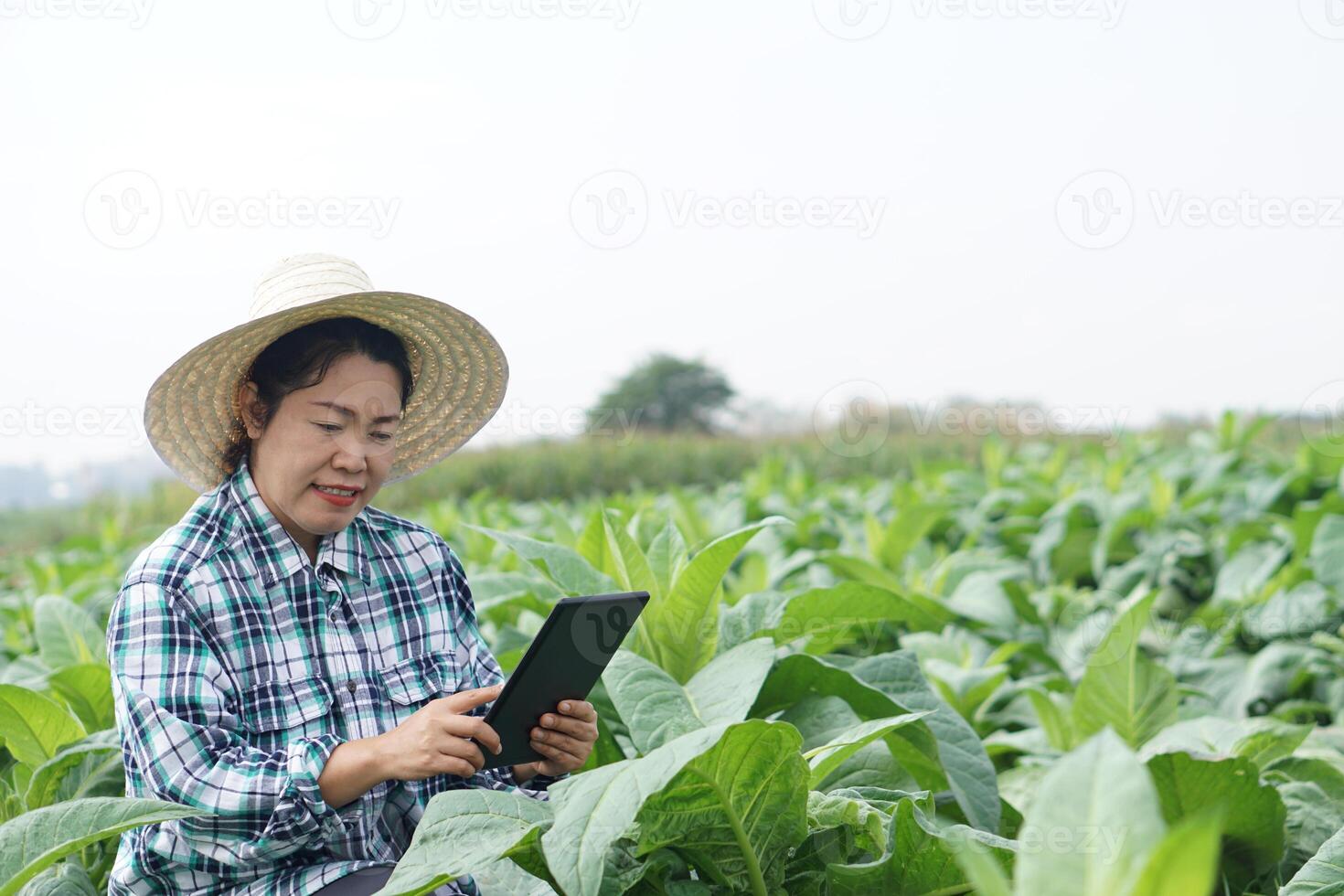 asiatico donna giardiniere è a giardino, indossa cappello, plaid camicia, detiene inteligente tavoletta per ispezionare crescita e malattie di impianti. concetto, agricoltura ispezione, studia sondaggio e ricerca per sviluppare raccolti. foto