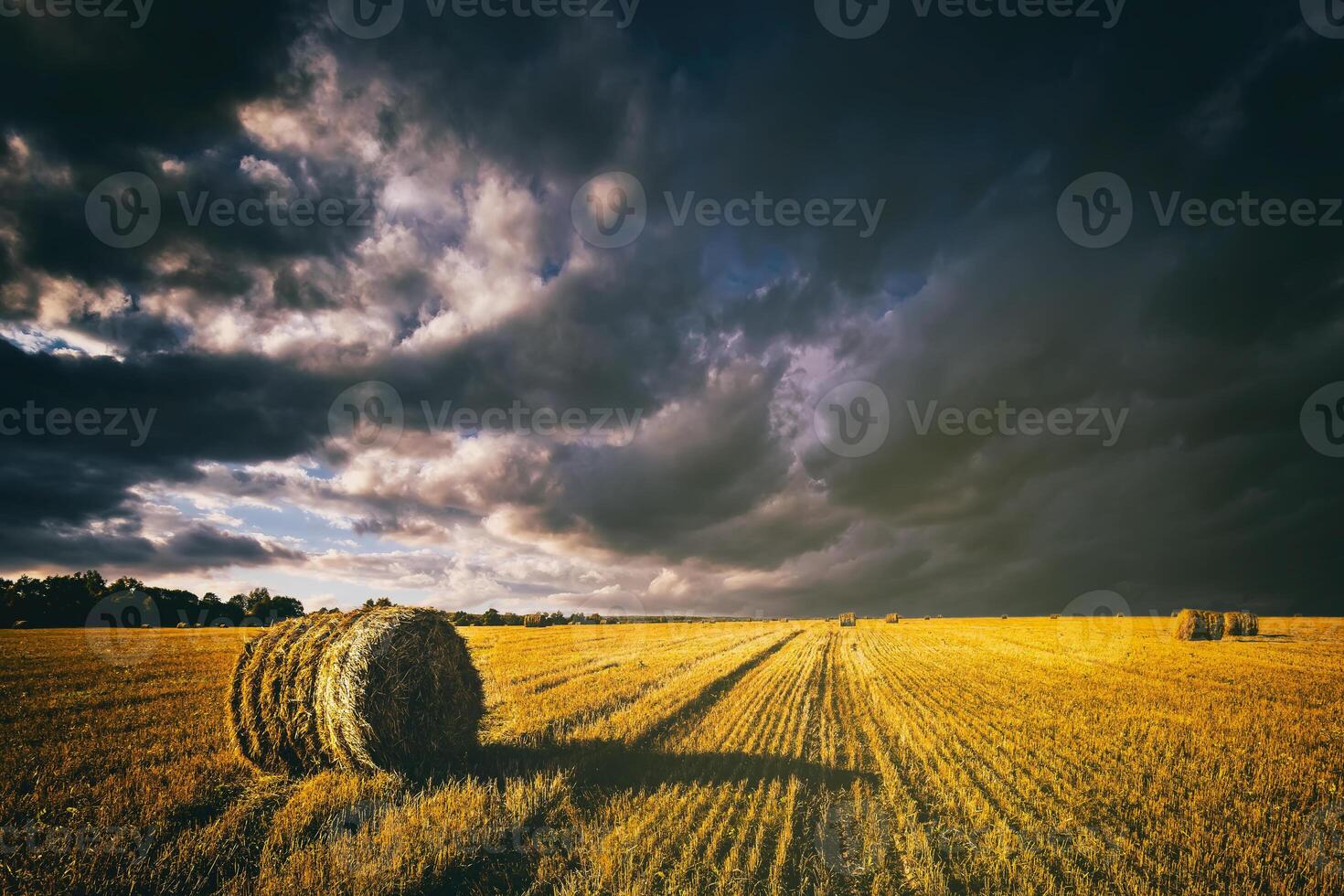 un' campo di un' mucchi di fieno su un autunno giorno, illuminato di luce del sole, con pioggia nuvole nel il cielo. Vintage ▾ film estetico. foto