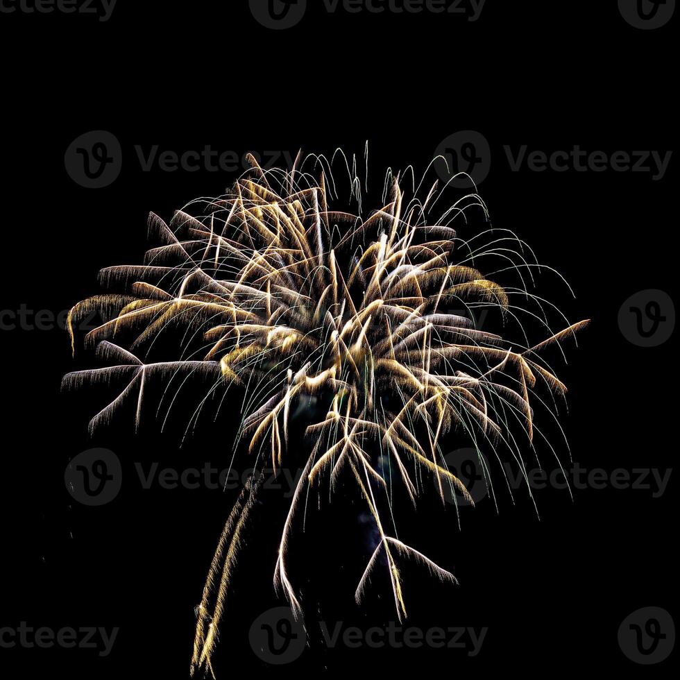 colorato celebrazione fuochi d'artificio isolato su un' nero cielo sfondo. foto