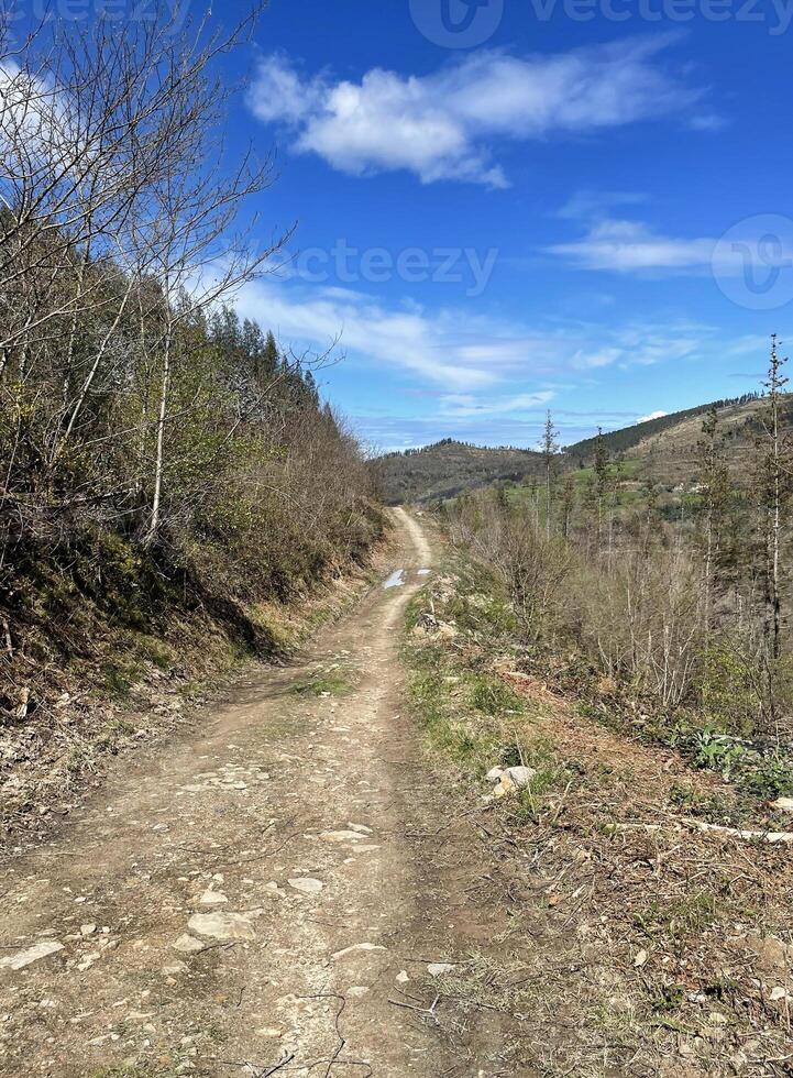 scenario su il pellegrinaggio itinerario camino del norte nel settentrionale Spagna foto