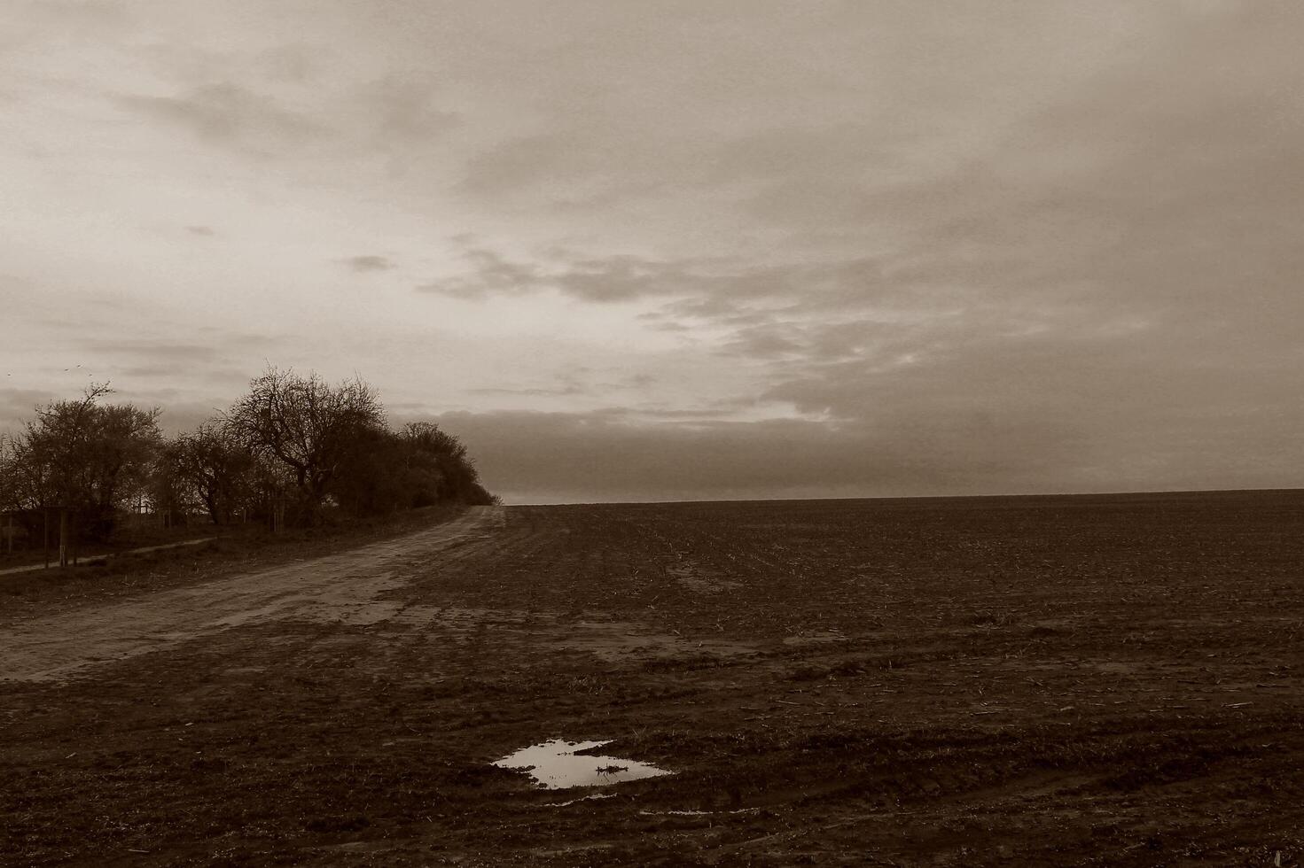 natura sfondo foto