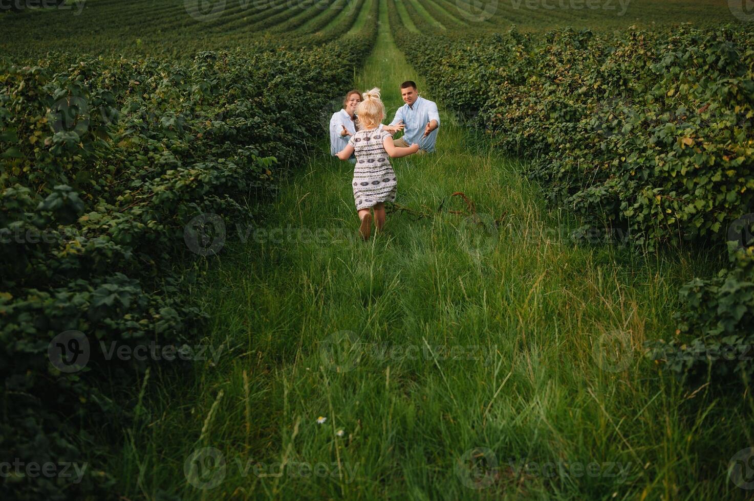 contento famiglia con poco figlia la spesa tempo insieme nel soleggiato campo. foto