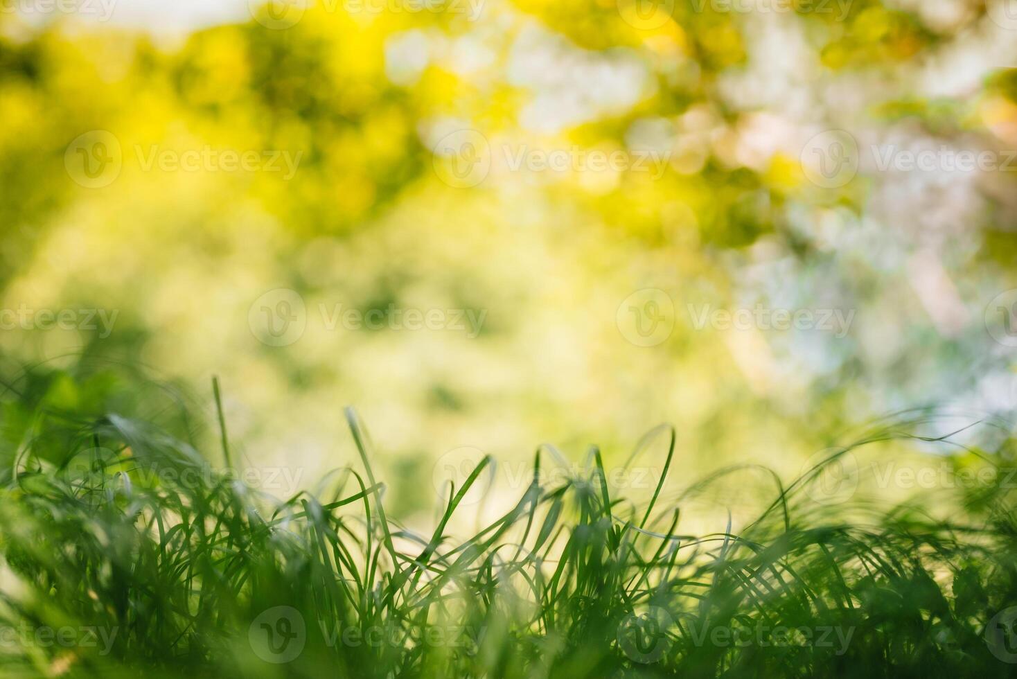 primavera o estate e astratto natura sfondo con erba campo. sfondo con verde erba campo e bokeh luce. estate sfondo. foto