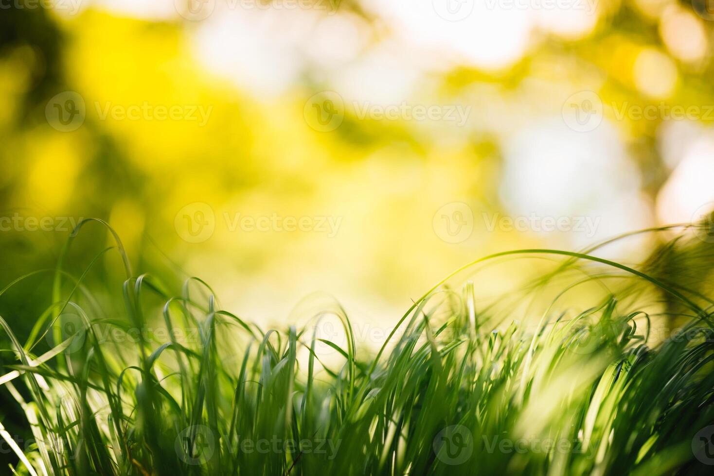 primavera o estate e astratto natura sfondo con erba campo. sfondo con verde erba campo e bokeh luce. estate sfondo. foto