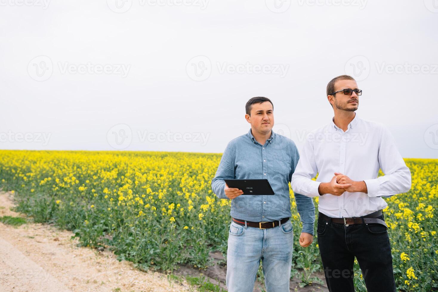 Due contadino in piedi nel un' stupro campo e guardare a tavoletta, essi siamo l'esame corp. giovane bello agronomo. agribusiness concetto. agricolo ingegnere in piedi nel un' stupro campo. foto