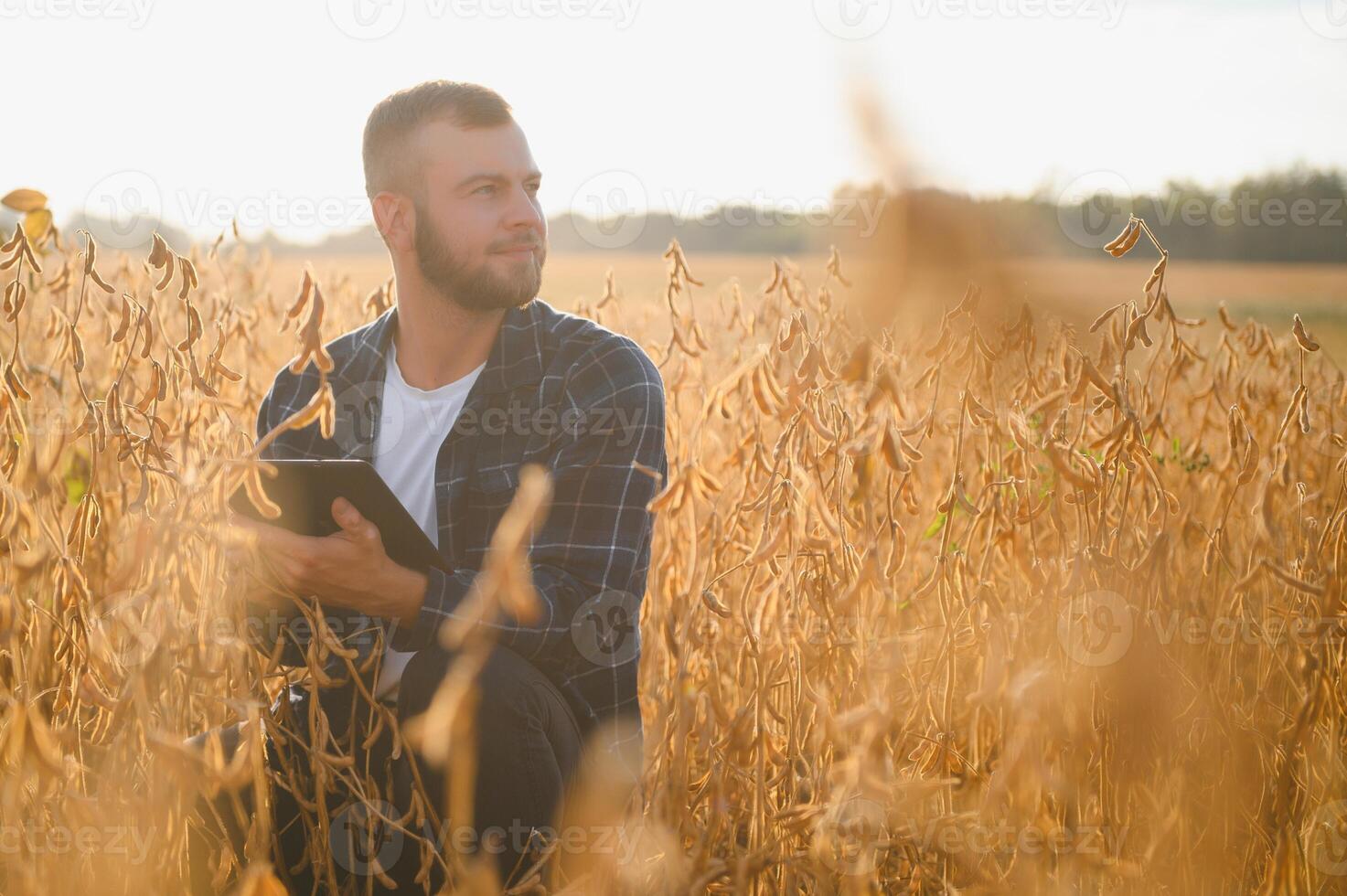 agronomo ispezionando soia fagiolo colture in crescita nel il azienda agricola campo. agricoltura produzione concetto. giovane agronomo esamina soia Ritaglia su campo. contadino su soia campo. foto