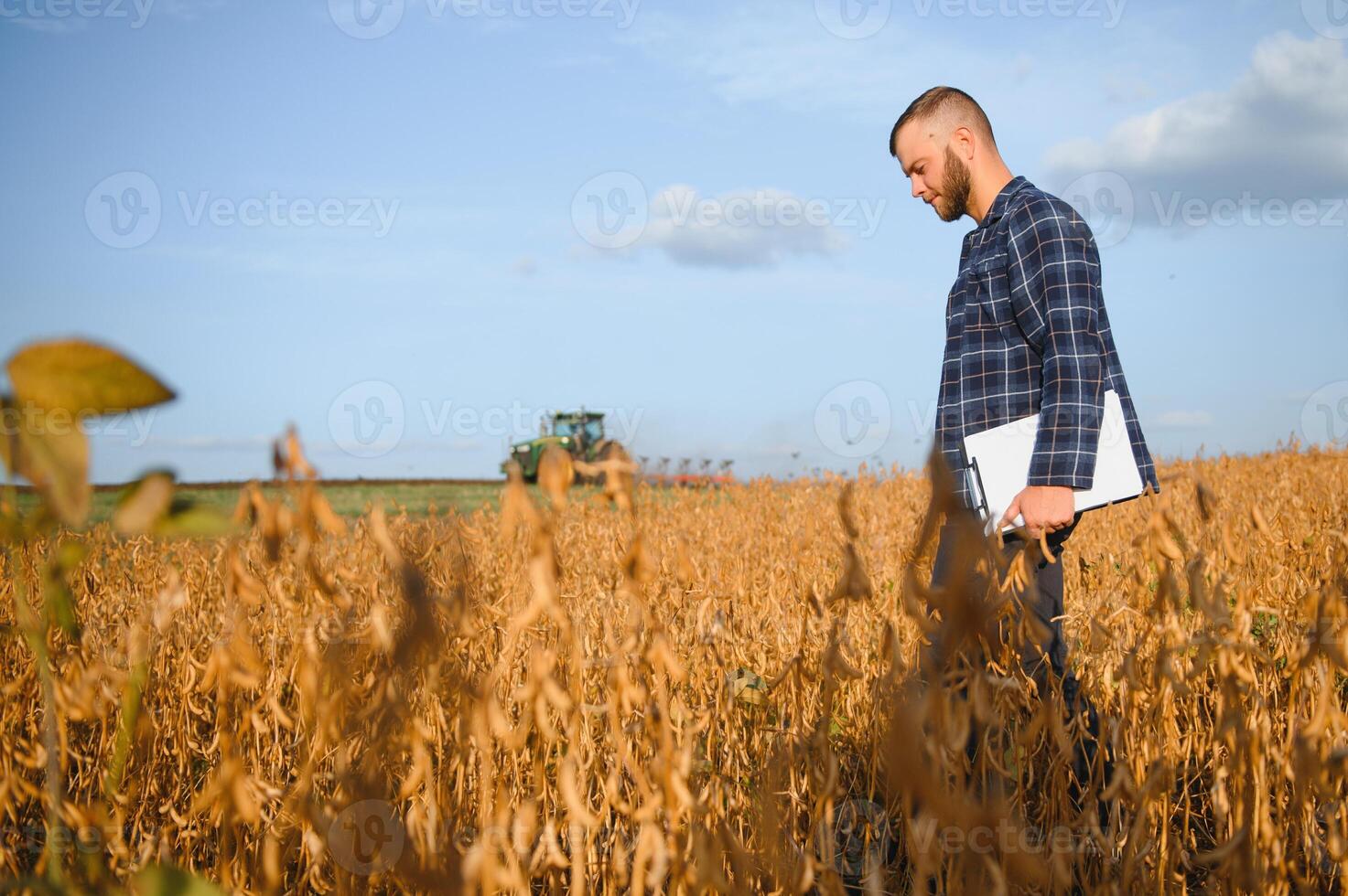 contadino agronomo nel soia campo controllo raccolti. biologico cibo produzione e coltivazione foto