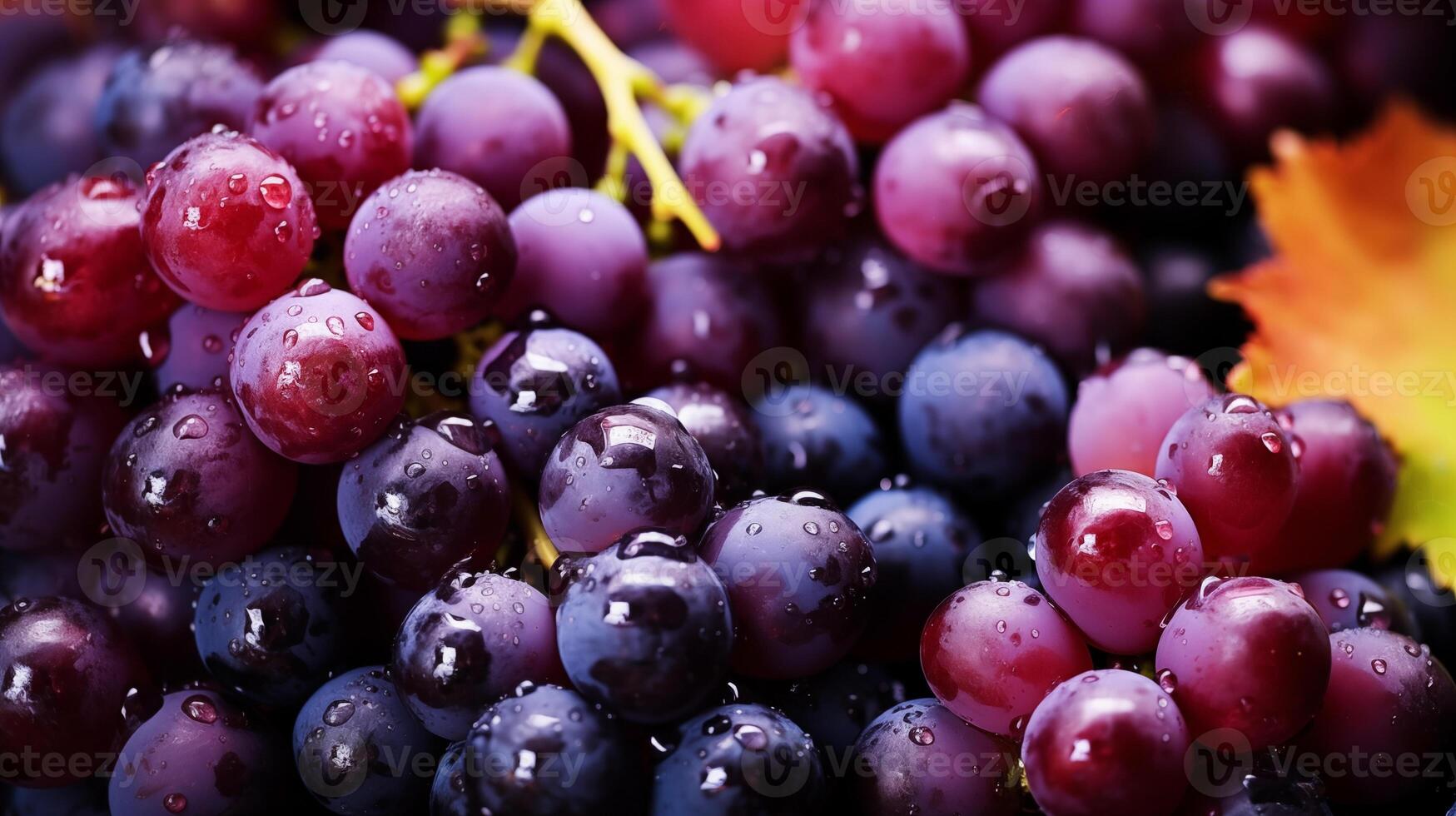 macro sfondo di baciato dalla rugiada uva nel naturale leggero ambientazione foto