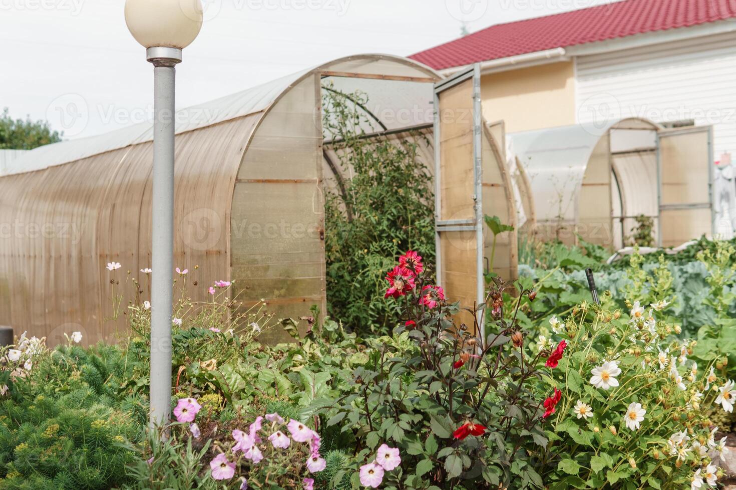 grande serre per in crescita fatti in casa verdure. il concetto di giardinaggio e vita nel il nazione. foto