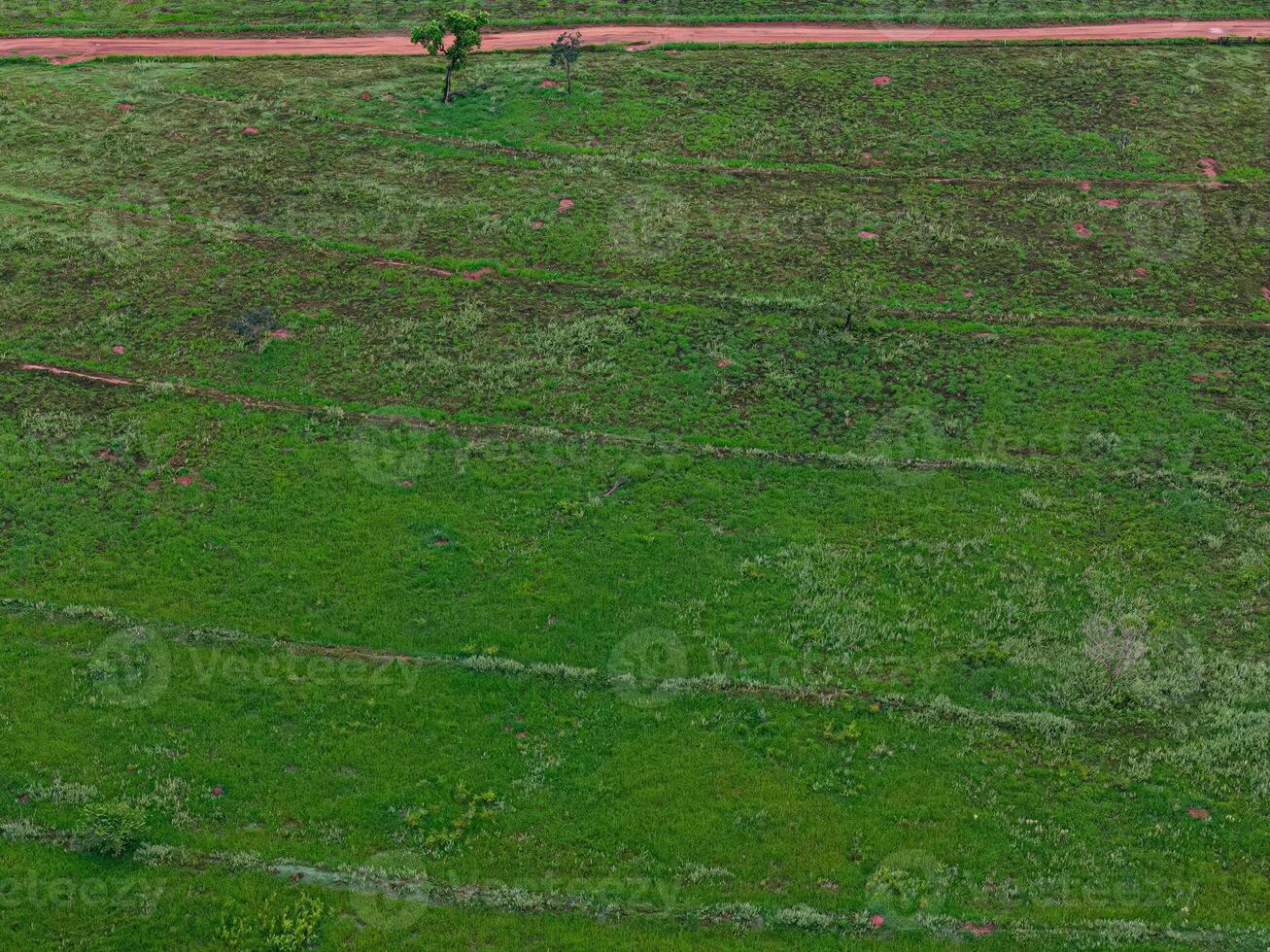 pascolo la zona con contorno Linee nel campo foto