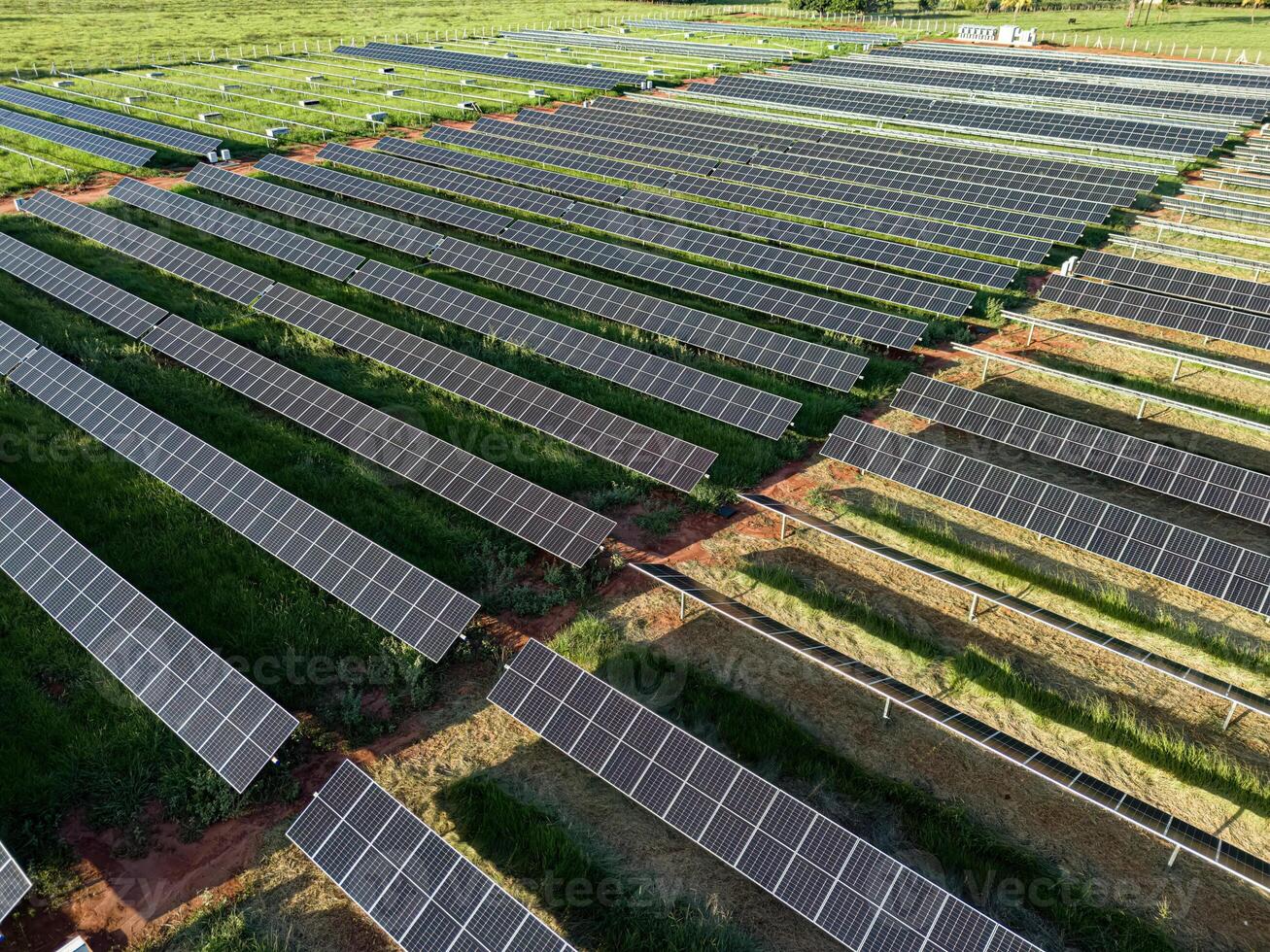 solare energia pianta nel rurale la zona foto